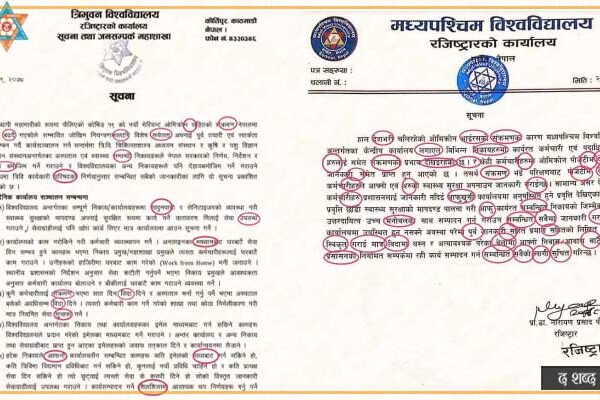 विश्वविद्यालयमा नेपाली भाषाकाे प्रयाेग