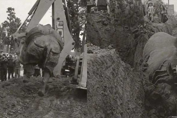 भाले गैंडाकाे भरतपुरमा मृत्यु