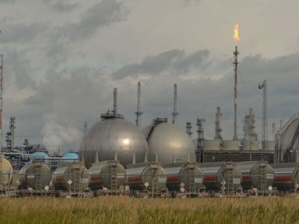 Oil